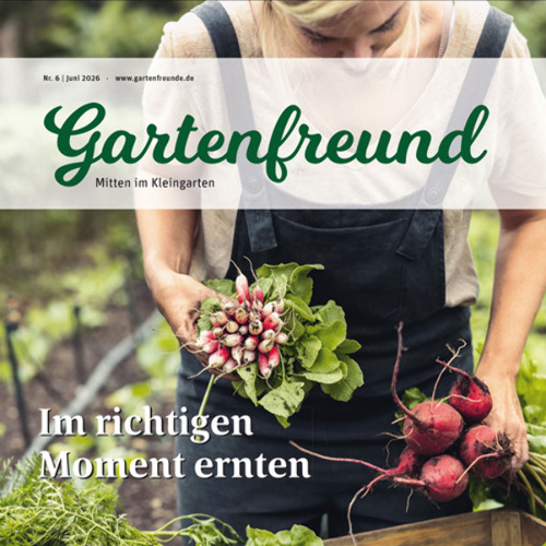 Gartenfreund-Ausgabe 06/2026 abrufbar