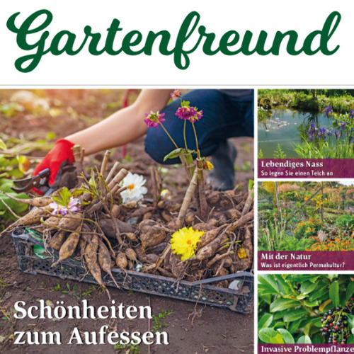 Gartenfreund-Ausgabe 11/2025 abrufbar