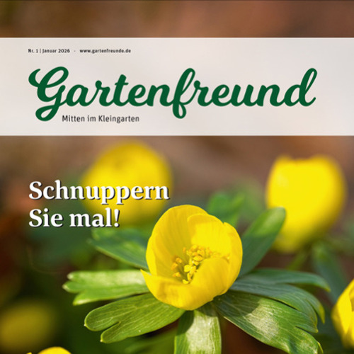 Gartenfreund-Ausgabe 01/2026 abrufbar